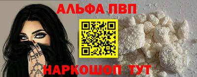 гашик Моздок