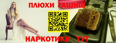 гашик Моздок