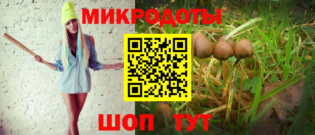 Галлюциногенные грибы Psilocybine cubensis Десногорск