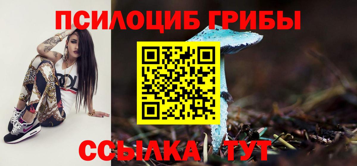Десногорск  Галлюциногенные грибы GOLDEN TEACHER  Вход с VPN 